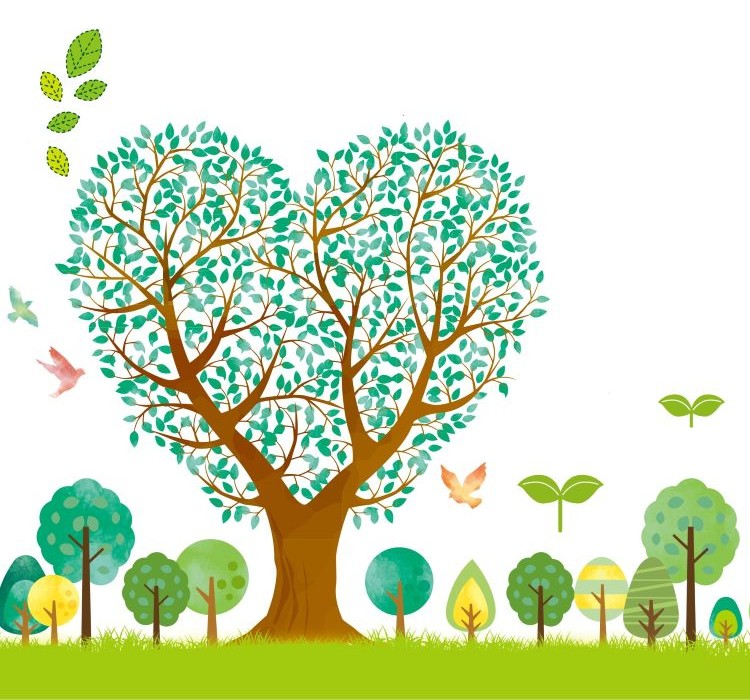 ガトーリベルテのWhiteDay